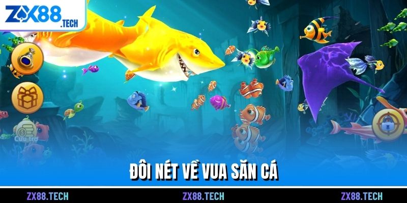 Đôi nét về Vua săn cá